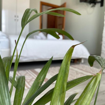 Agroni Rooms Tiranë Ngoại thất bức ảnh
