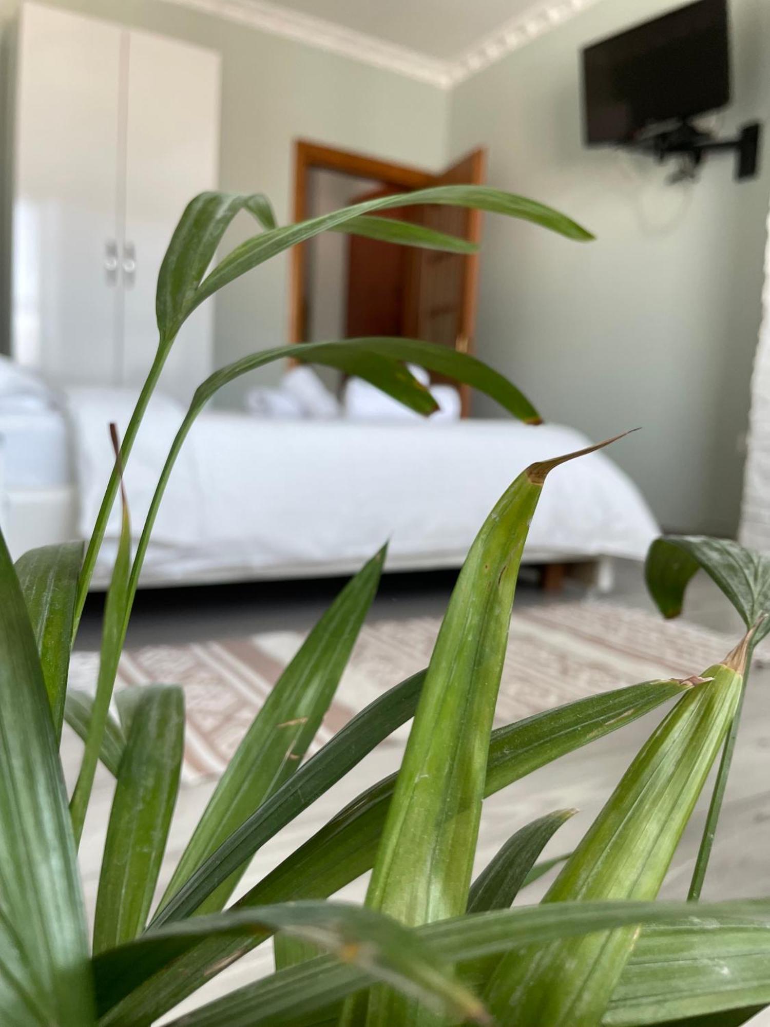 Agroni Rooms Tiranë Ngoại thất bức ảnh